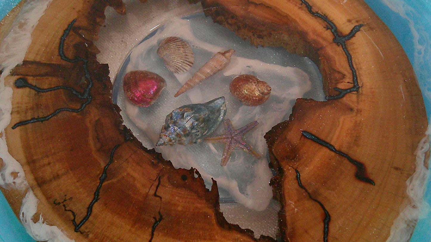 Wood with epoxy plate