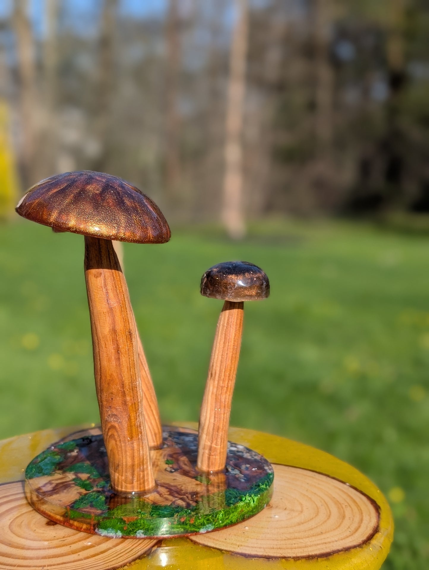 Table decor mushrooms