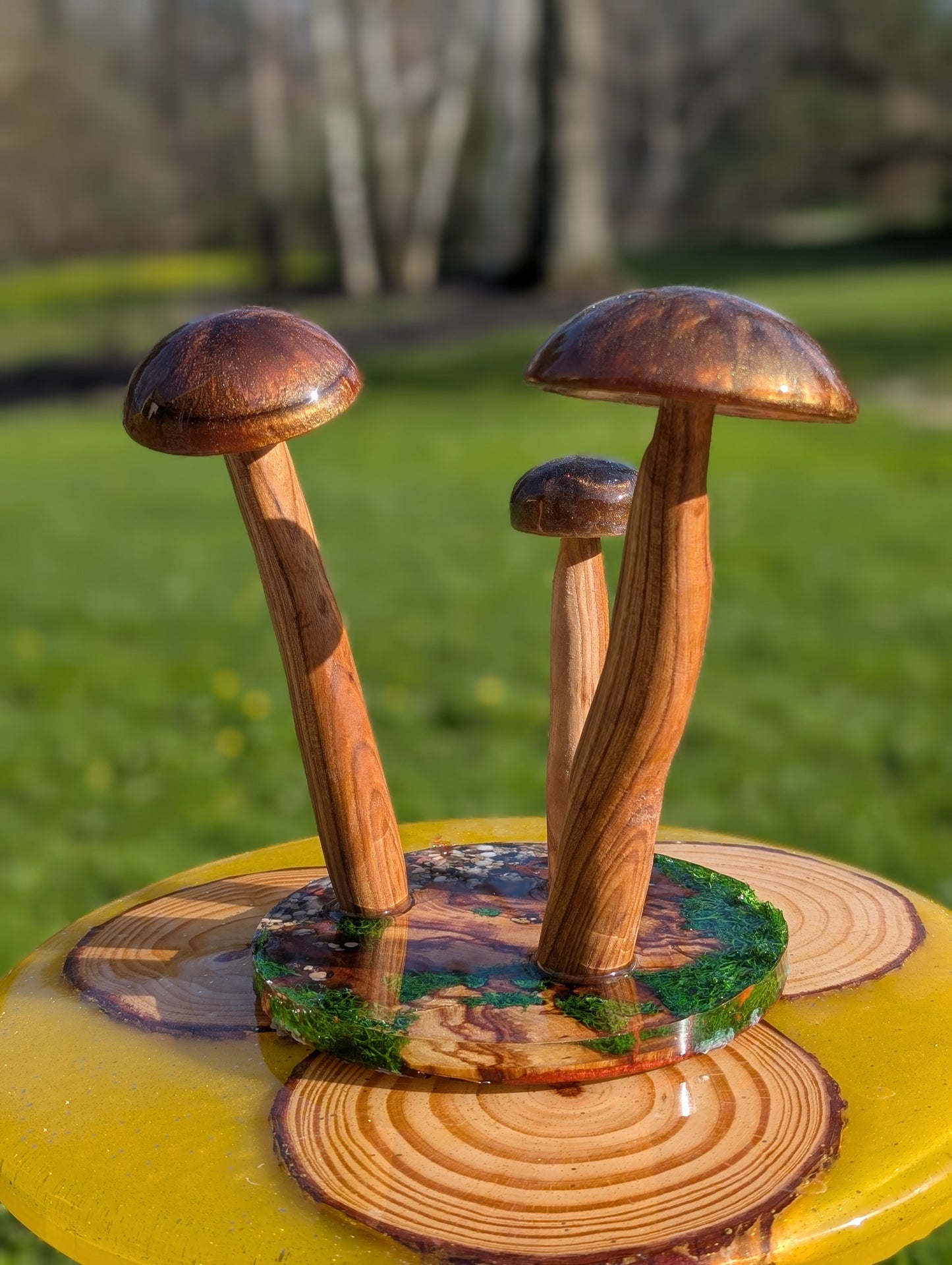 Table decor mushrooms