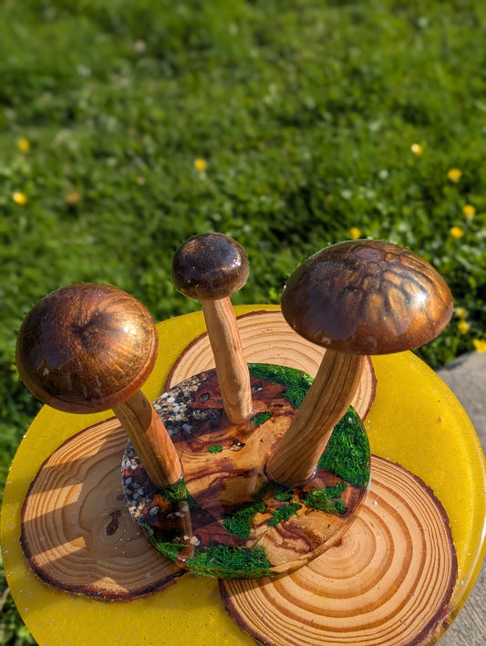 Table decor mushrooms